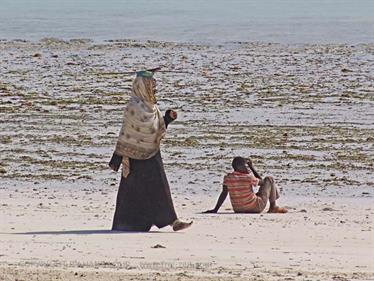 Beach walk, Zanzibar, DSC07404b